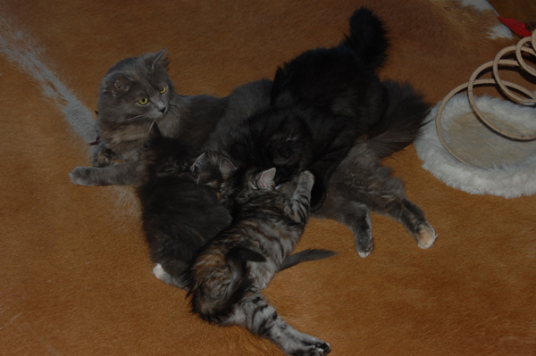 was macht der denn da.jpg